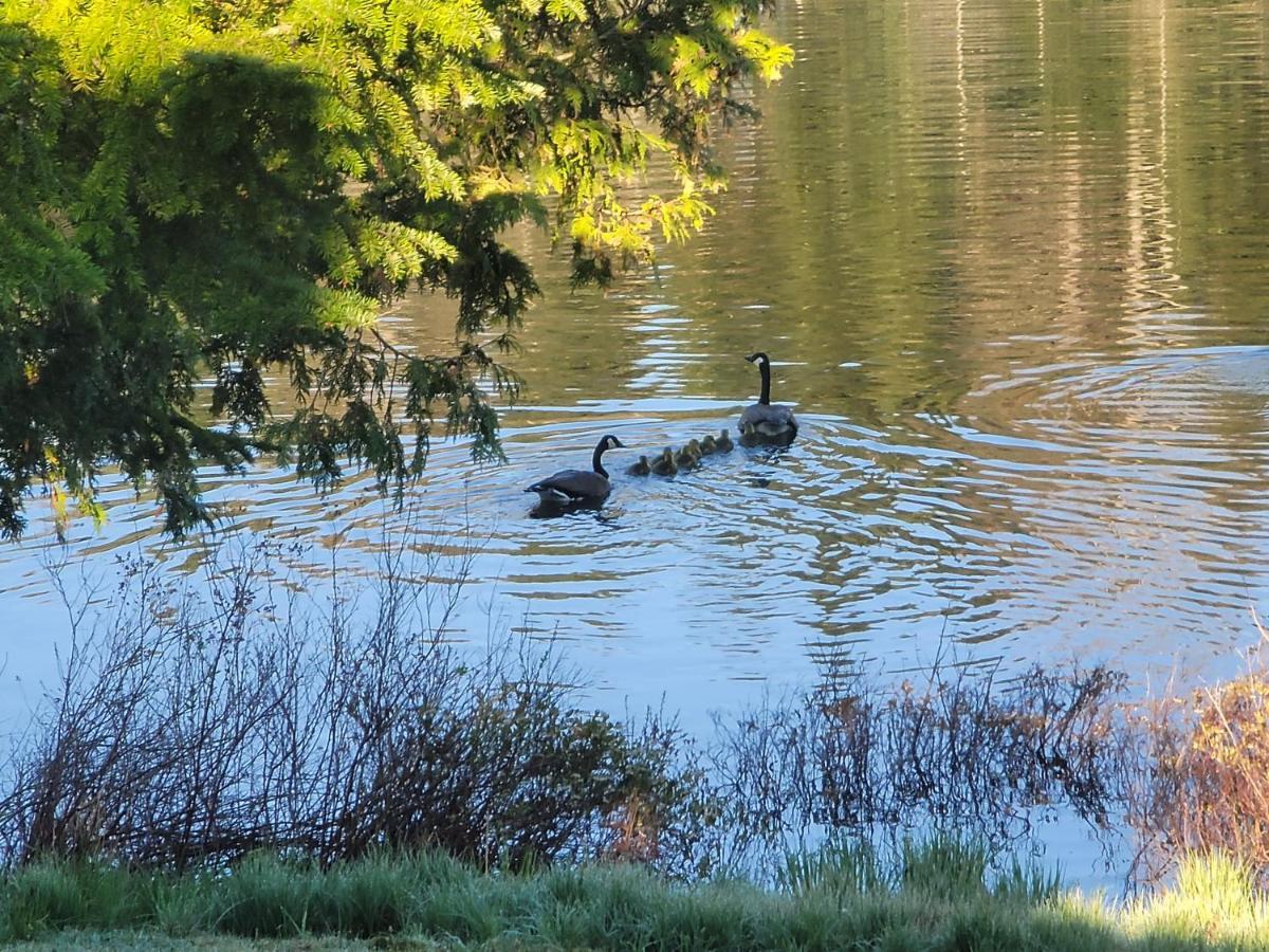 Ladd Pond Cabins And Campground, Llc Colebrook Esterno foto