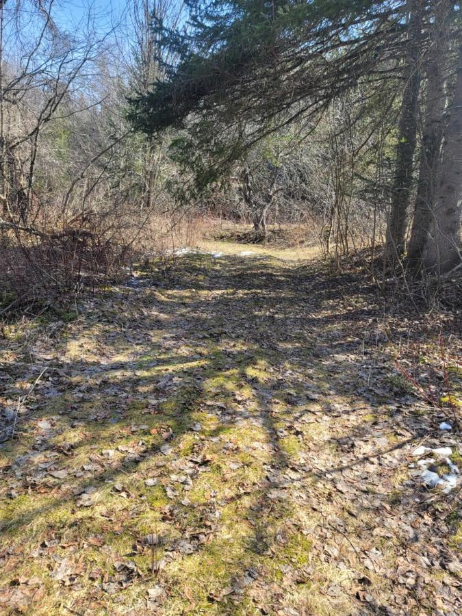 Ladd Pond Cabins And Campground, Llc Colebrook Esterno foto