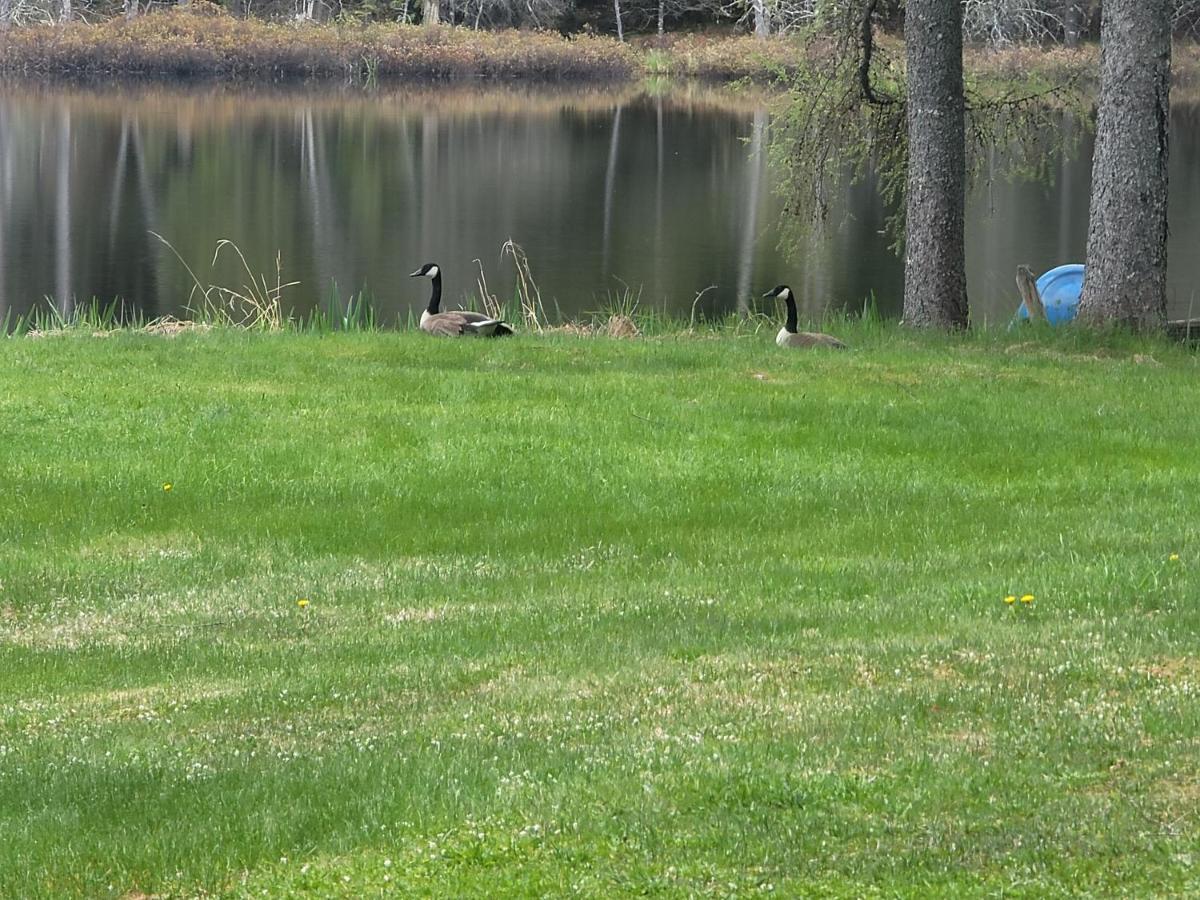 Ladd Pond Cabins And Campground, Llc Colebrook Esterno foto