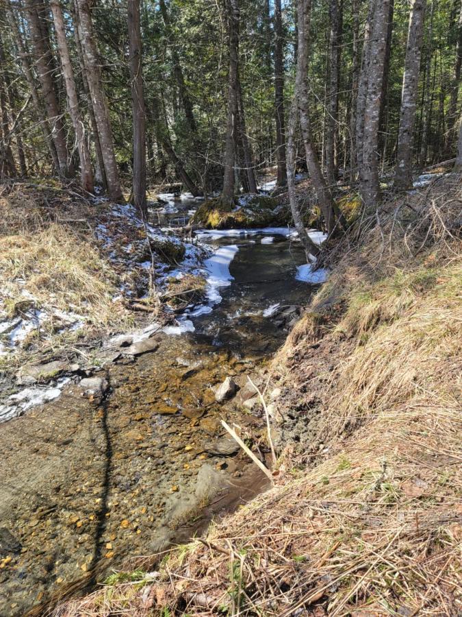 Ladd Pond Cabins And Campground, Llc Colebrook Esterno foto