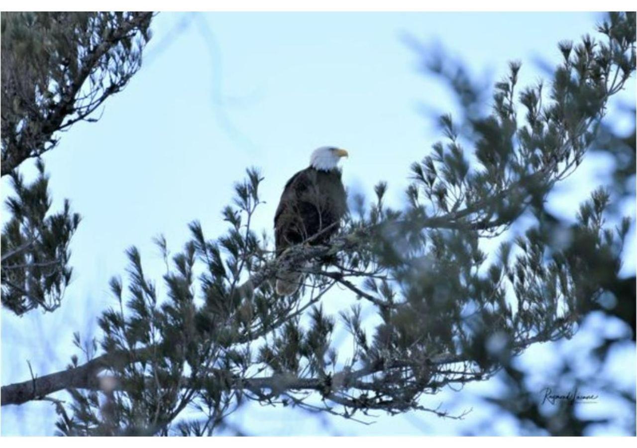 Ladd Pond Cabins And Campground, Llc Colebrook Esterno foto