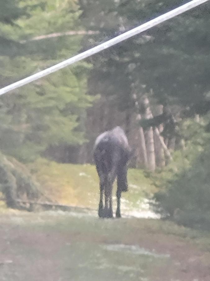 Ladd Pond Cabins And Campground, Llc Colebrook Esterno foto